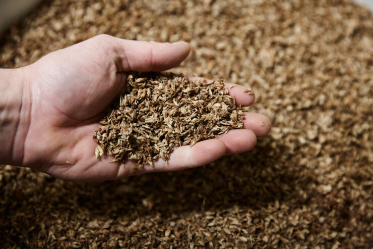Powdered ingredient created from upcycled food waste displayed in a lab setting
